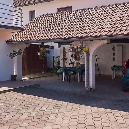 Milica Villa Banja Koviljaca Ngoại thất bức ảnh