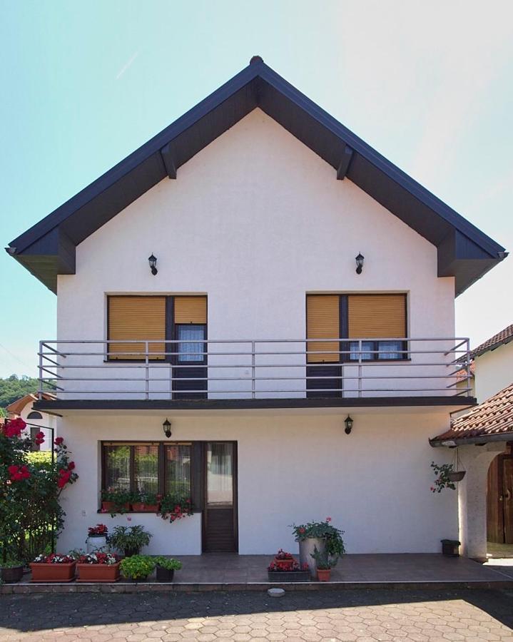 Milica Villa Banja Koviljaca Ngoại thất bức ảnh