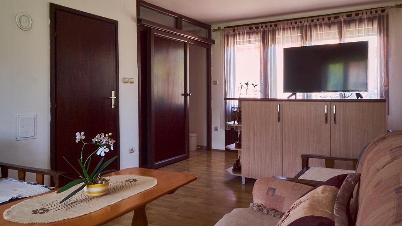 Milica Villa Banja Koviljaca Ngoại thất bức ảnh