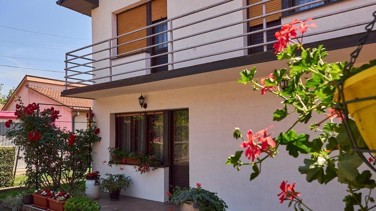 Milica Villa Banja Koviljaca Ngoại thất bức ảnh