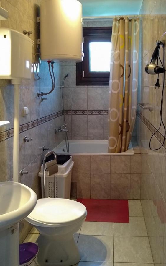 Milica Villa Banja Koviljaca Ngoại thất bức ảnh